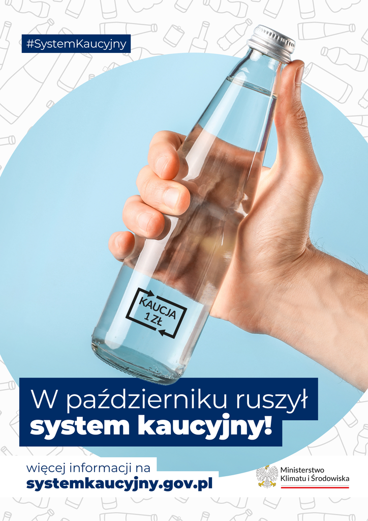 SYSTEM KAUCYJNY